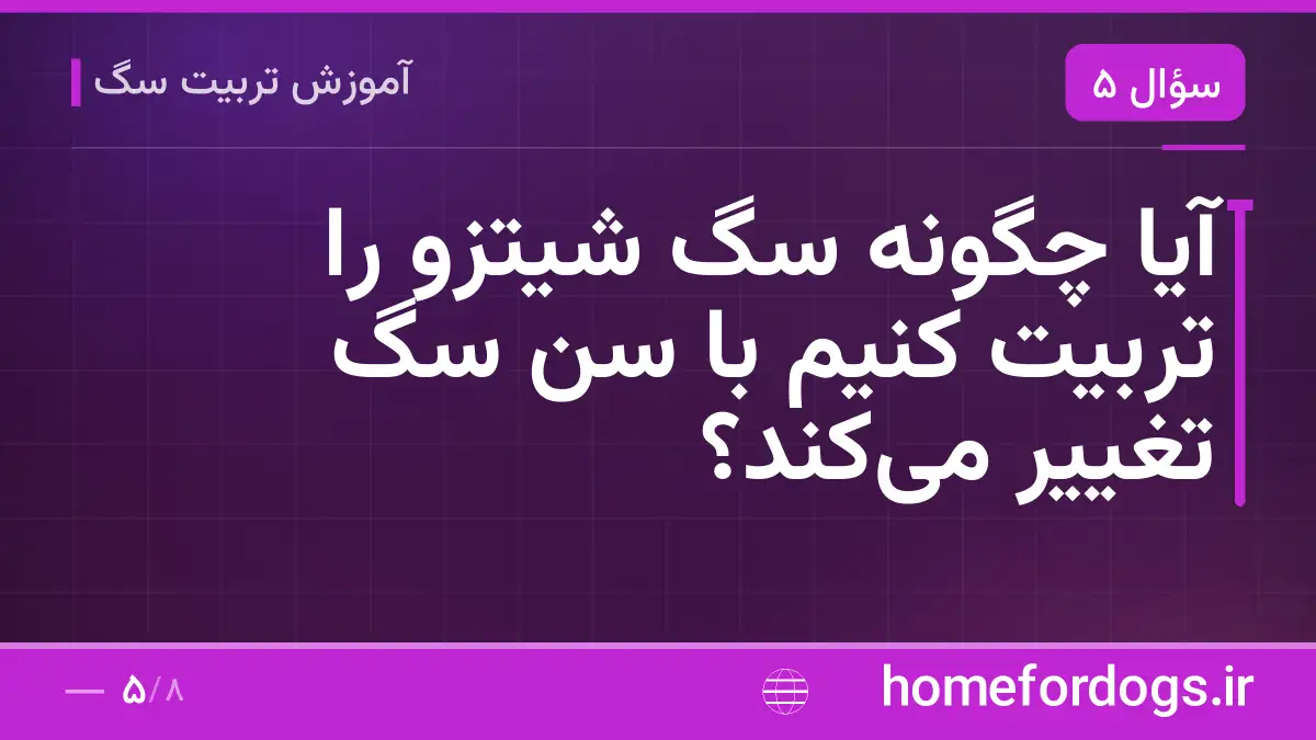 آیا چگونه سگ شیتزو را تربیت کنیم با سن سگ تغییر می‌کند؟