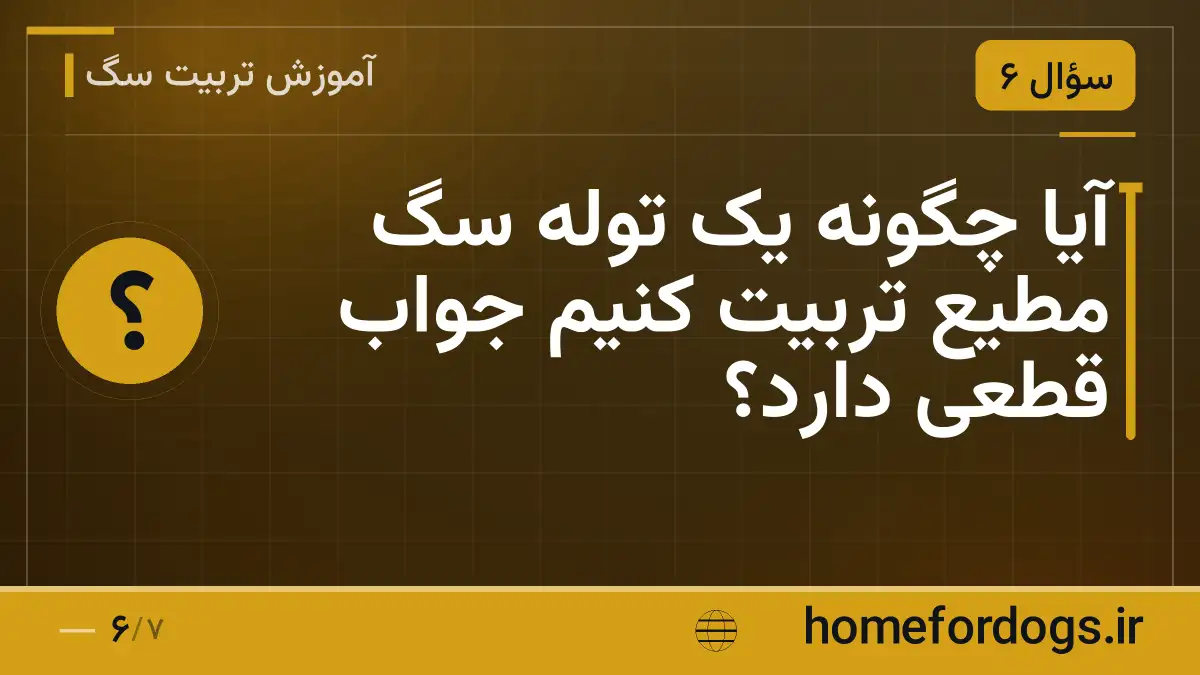 آیا چگونه یک توله سگ مطیع تربیت کنیم جواب قطعی دارد؟
