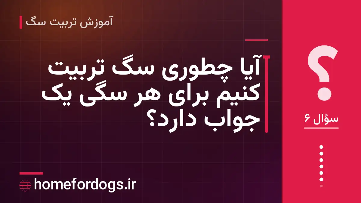 آیا چطوری سگ تربیت کنیم برای هر سگی یک جواب دارد؟