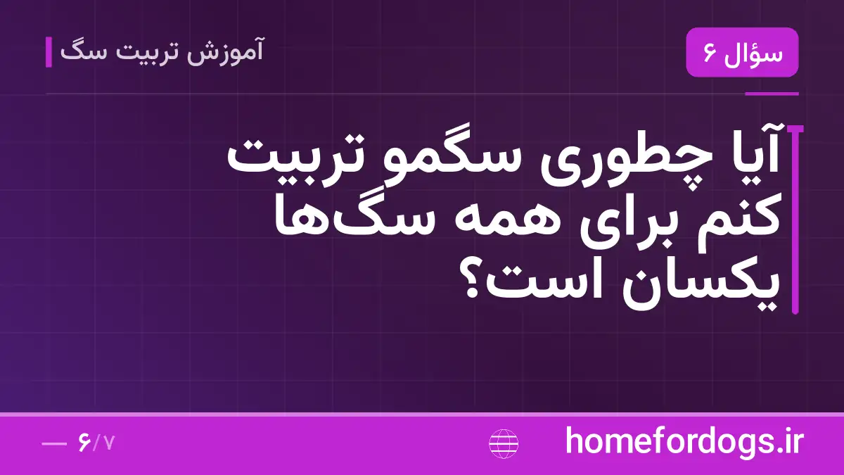 آیا چطوری سگمو تربیت کنم برای همه سگها یکسان است؟