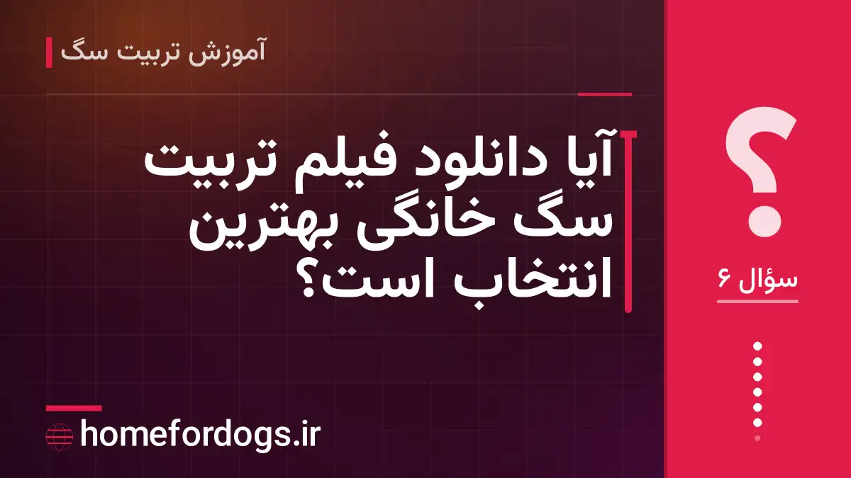 آیا دانلود فیلم تربیت سگ خانگی بهترین انتخاب است؟