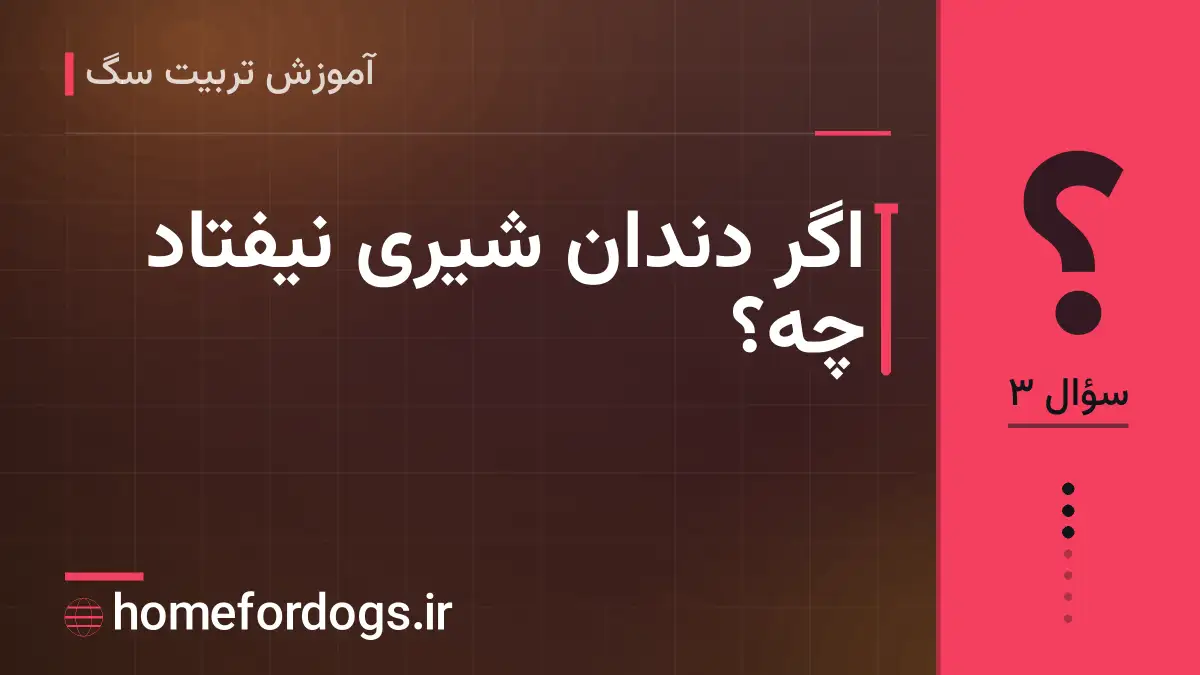 اگر دندان شیری نیفتاد چه؟