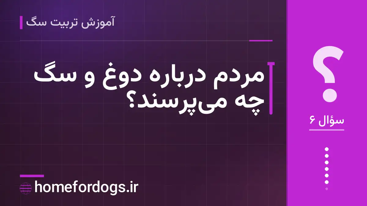 مردم دربارهٔ دوغ و سگ چه میپرسند؟