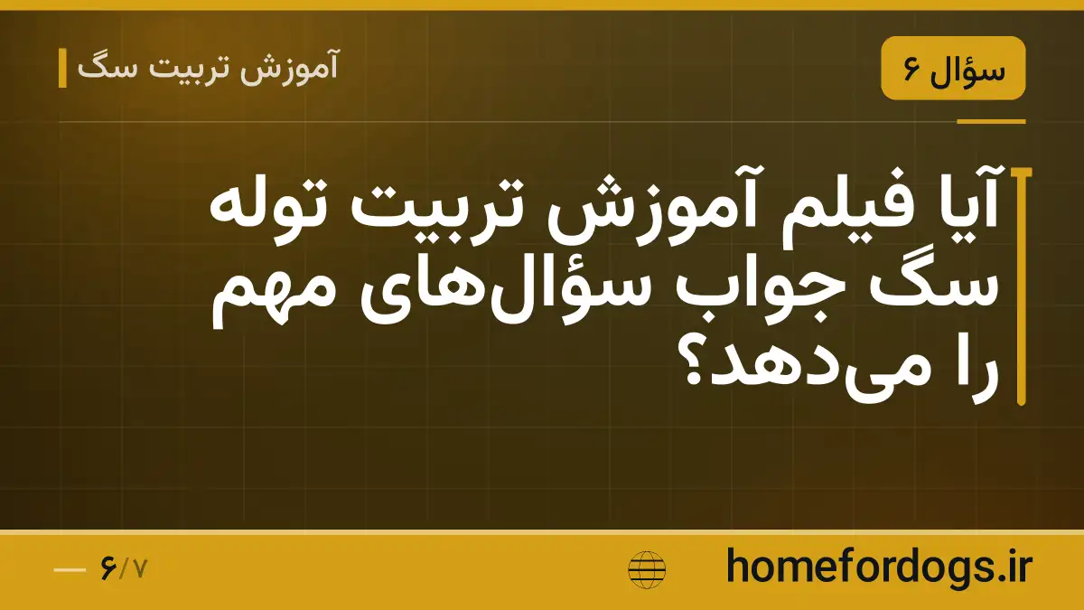 آیا فیلم آموزش تربیت توله سگ جواب سؤالهای مهم را میدهد؟