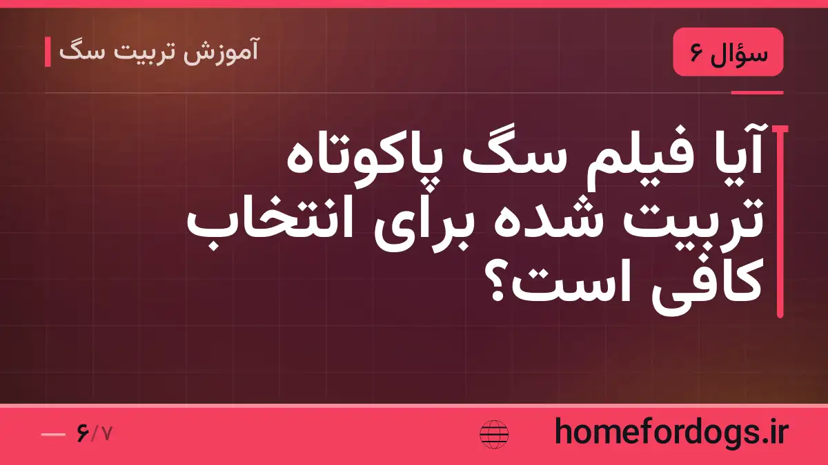 آیا فیلم سگ پاکوتاه تربیت شده برای انتخاب کافی است؟
