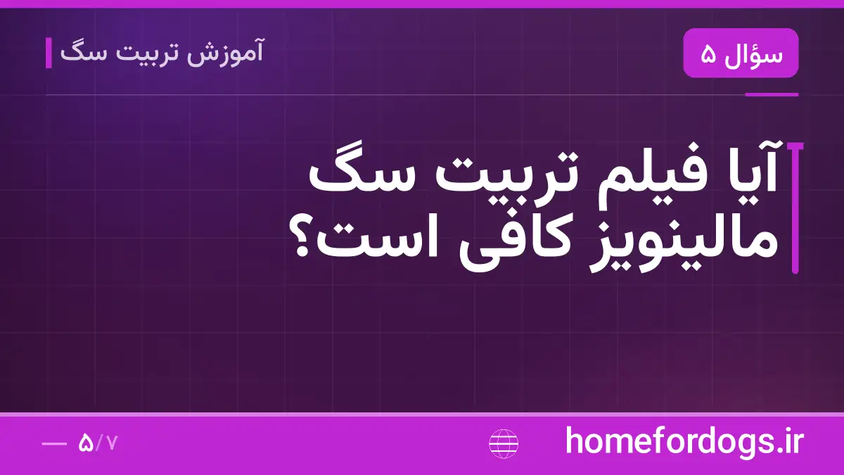 آیا فیلم تربیت سگ مالینویز کافی است؟