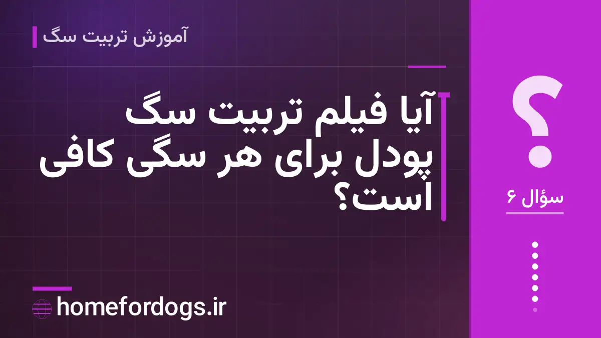 آیا فیلم تربیت سگ پودل برای هر سگی کافی است؟