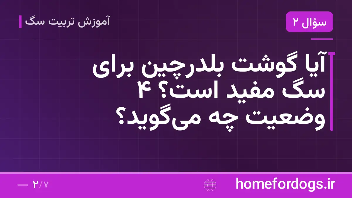 آیا گوشت بلدرچین برای سگ مفید است؟ ۴ وضعیت چه می‌گوید؟