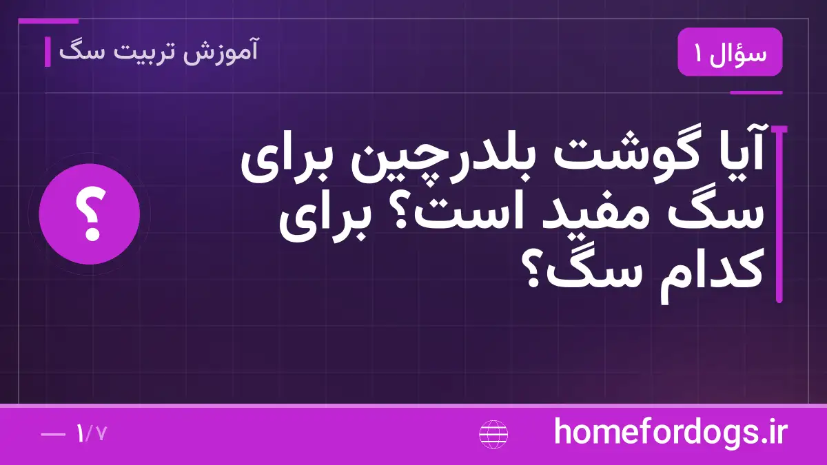 آیا گوشت بلدرچین برای سگ مفید است؟ برای کدام سگ؟