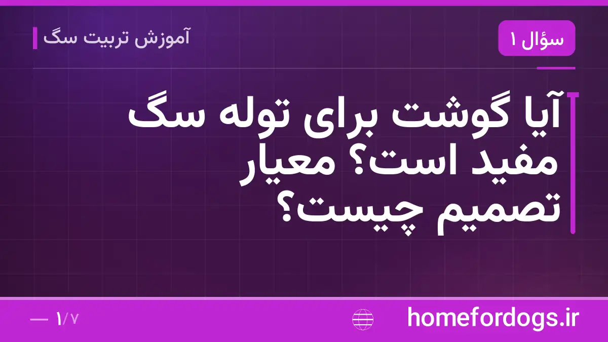 آیا گوشت برای توله سگ مفید است؟ معیار تصمیم چیست؟
