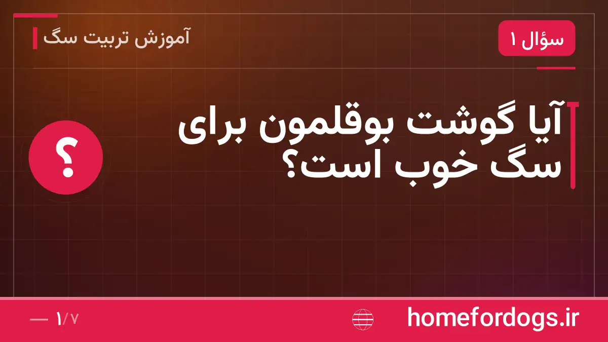 آیا گوشت بوقلمون برای سگ خوب است؟