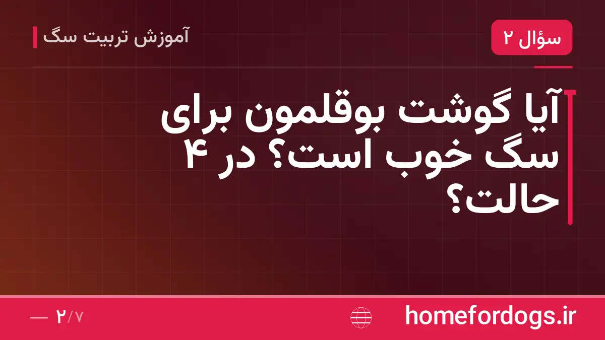آیا گوشت بوقلمون برای سگ خوب است؟ در ۴ حالت؟