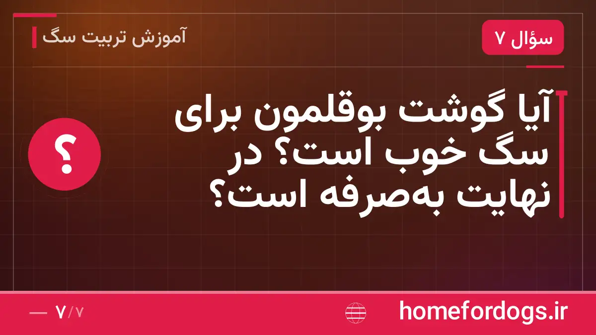 آیا گوشت بوقلمون برای سگ خوب است؟ در نهایت به‌صرفه است؟