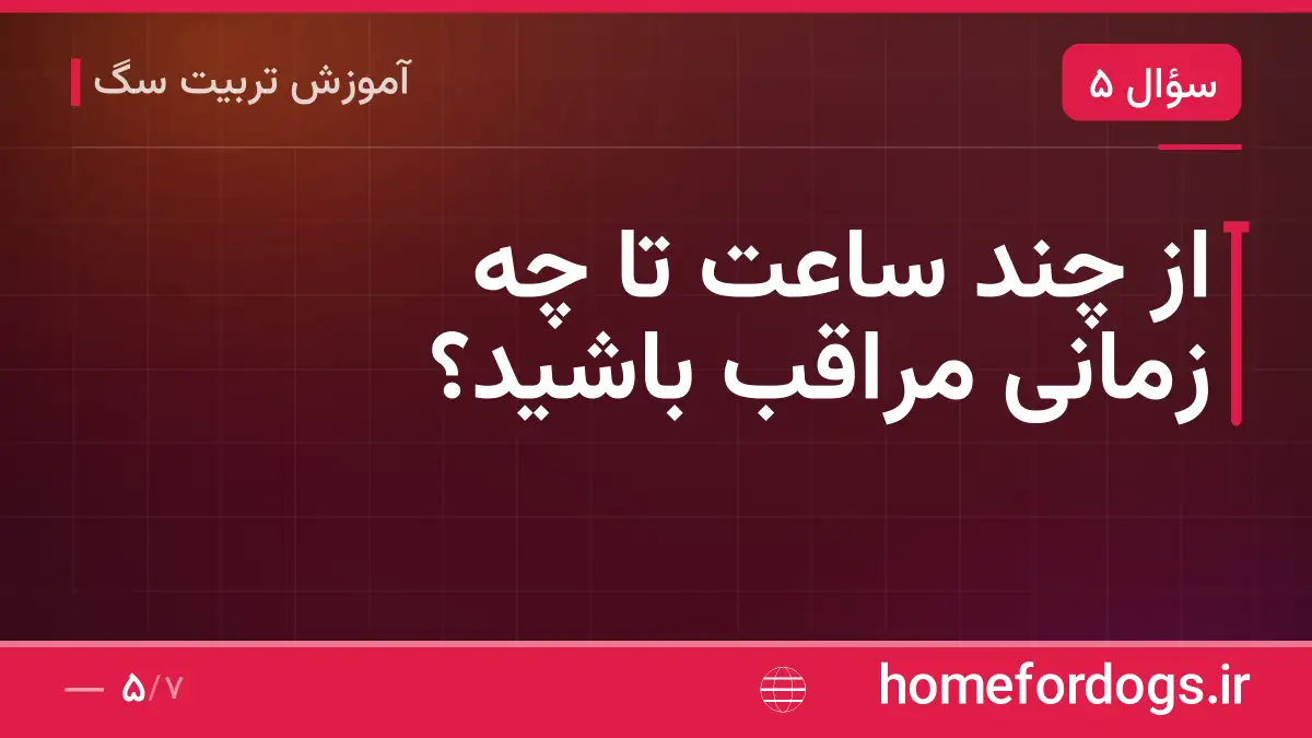 از چند ساعت تا چه زمانی مراقب باشید؟
