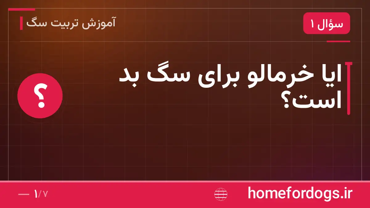 ایا خرمالو برای سگ بد است؟