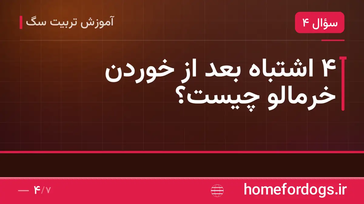 ۴ اشتباه بعد از خوردن خرمالو چیست؟