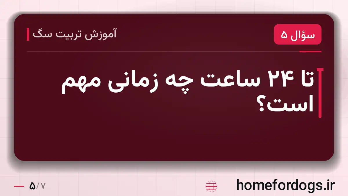 تا ۲۴ ساعت چه زمانی مهم است؟