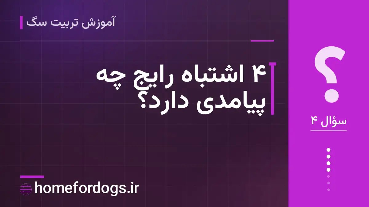 ۴ اشتباه رایج چه پیامدی دارد؟