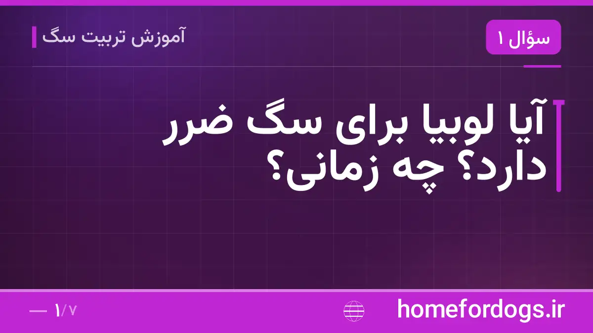 آیا لوبیا برای سگ ضرر دارد؟ چه زمانی؟