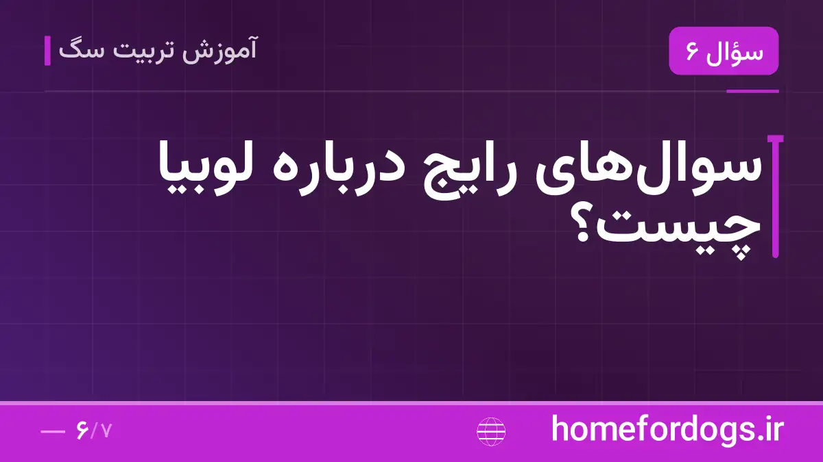 سوال‌های رایج درباره لوبیا چیست؟
