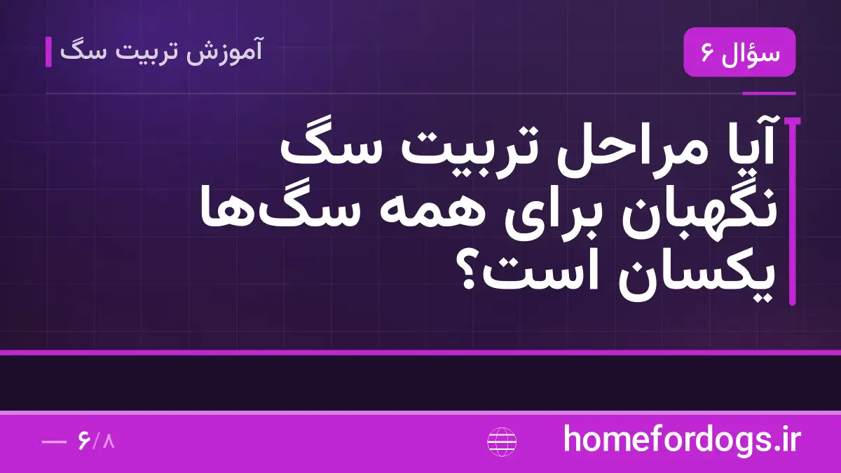 آیا مراحل تربیت سگ نگهبان برای همه سگها یکسان است؟
