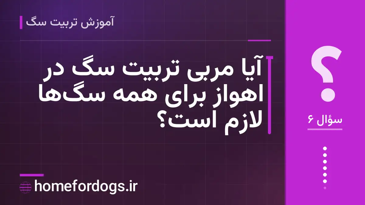 آیا مربی تربیت سگ در اهواز برای همه سگ‌ها لازم است؟