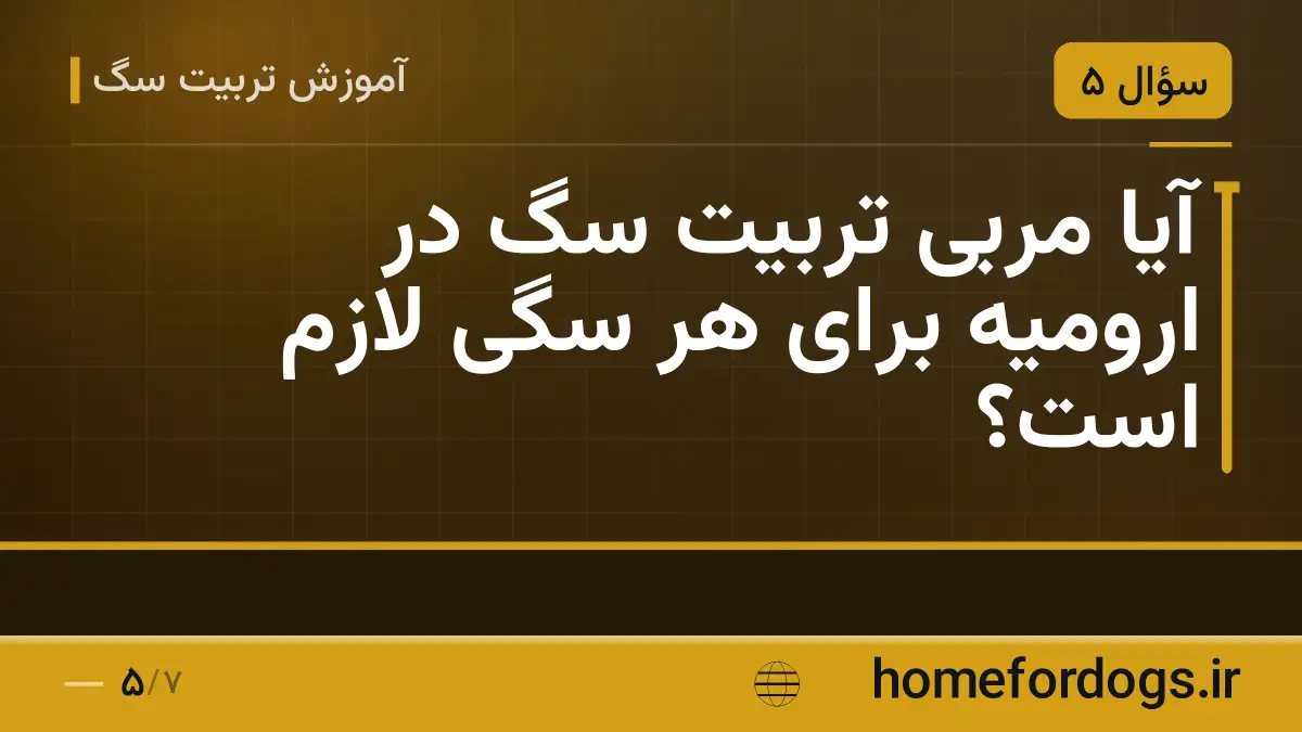 آیا مربی تربیت سگ در ارومیه برای هر سگی لازم است؟
