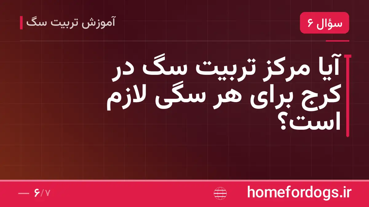 آیا مرکز تربیت سگ در کرج برای هر سگی لازم است؟