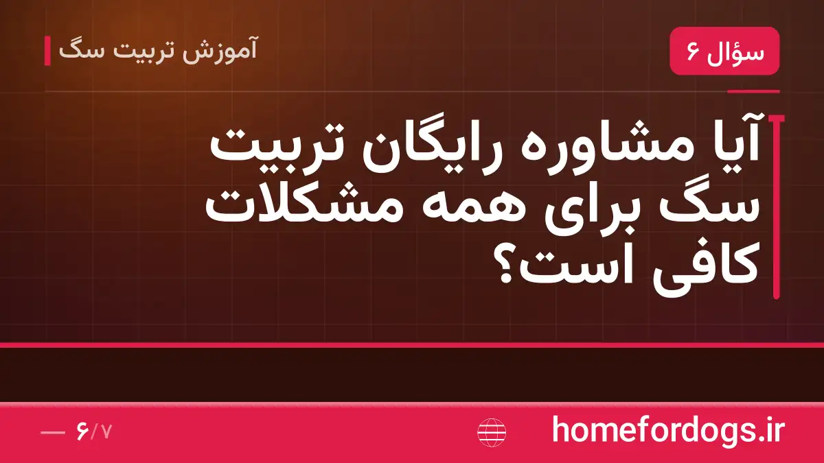 آیا مشاوره رایگان تربیت سگ برای همه مشکلات کافی است؟