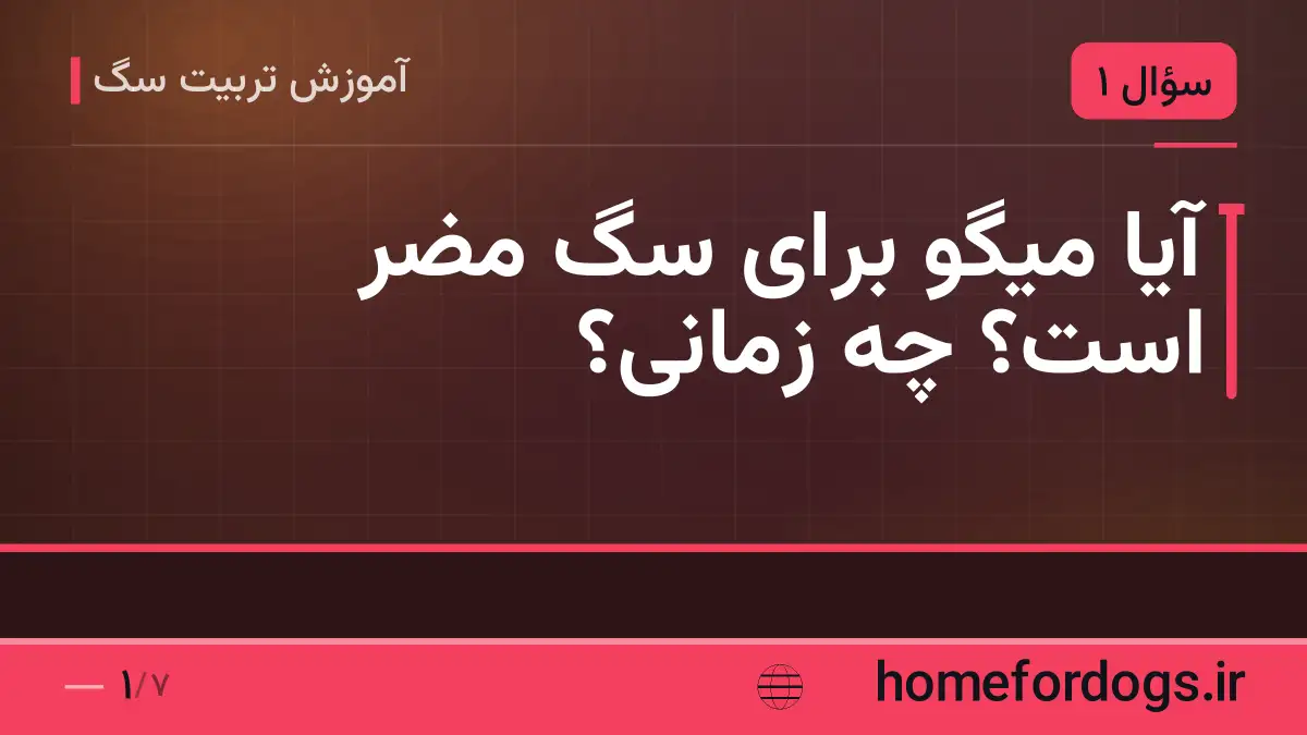 آیا میگو برای سگ مضر است؟ چه زمانی؟