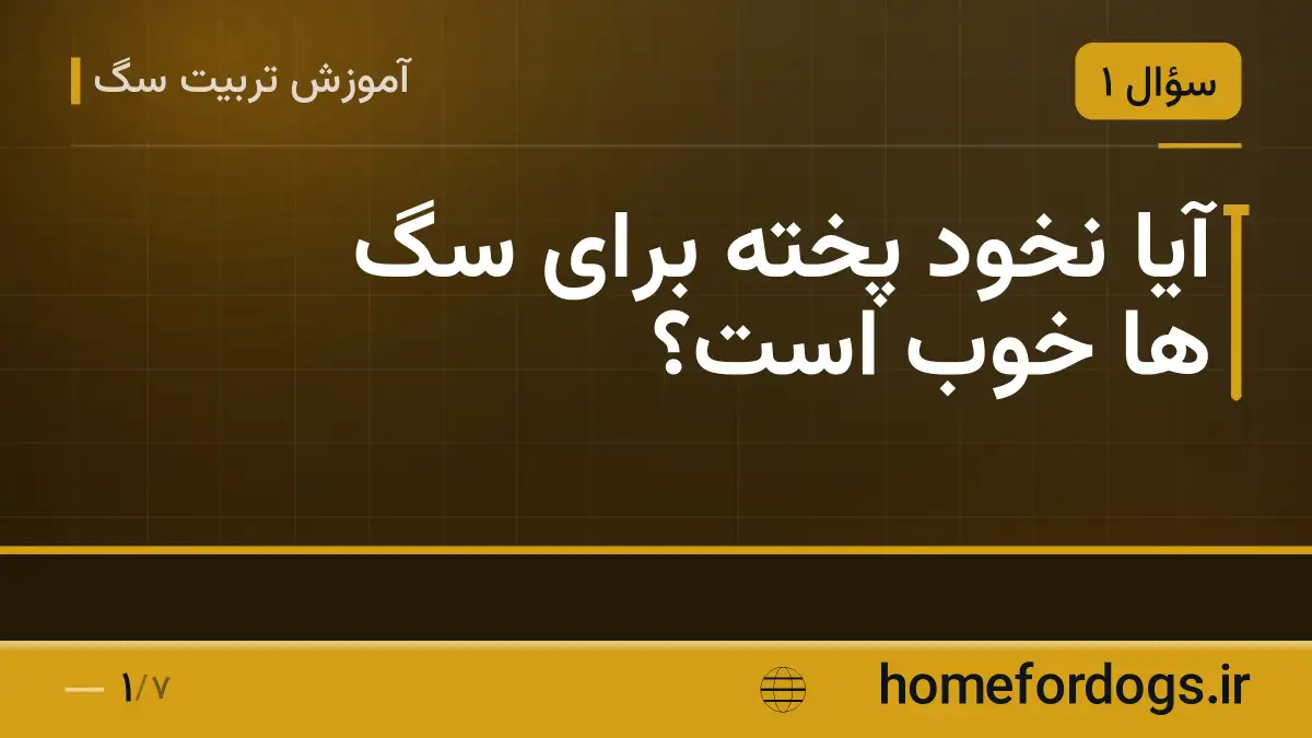آیا نخود پخته برای سگ ها خوب است؟