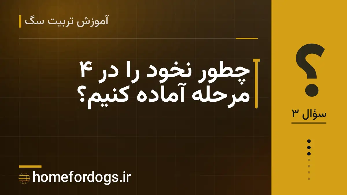 چطور نخود را در ۴ مرحله آماده کنیم؟