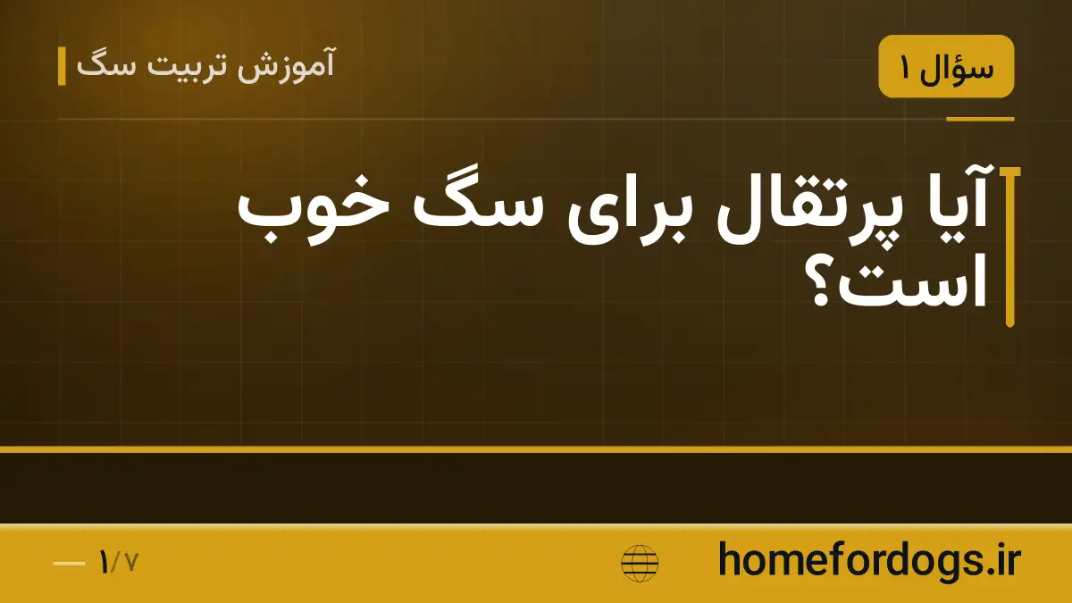 آیا پرتقال برای سگ خوب است؟