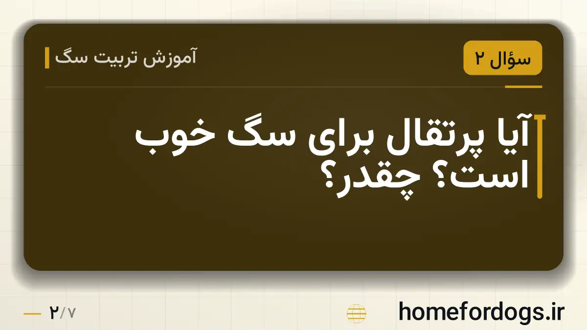آیا پرتقال برای سگ خوب است؟ چقدر؟