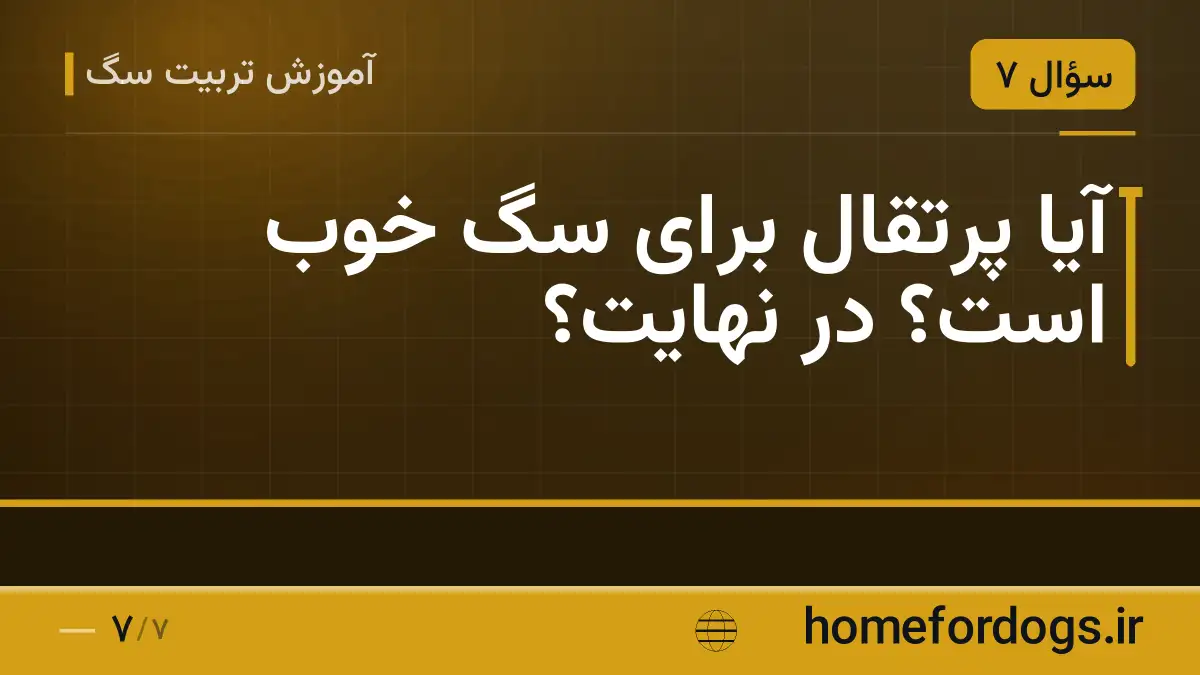 آیا پرتقال برای سگ خوب است؟ در نهایت؟
