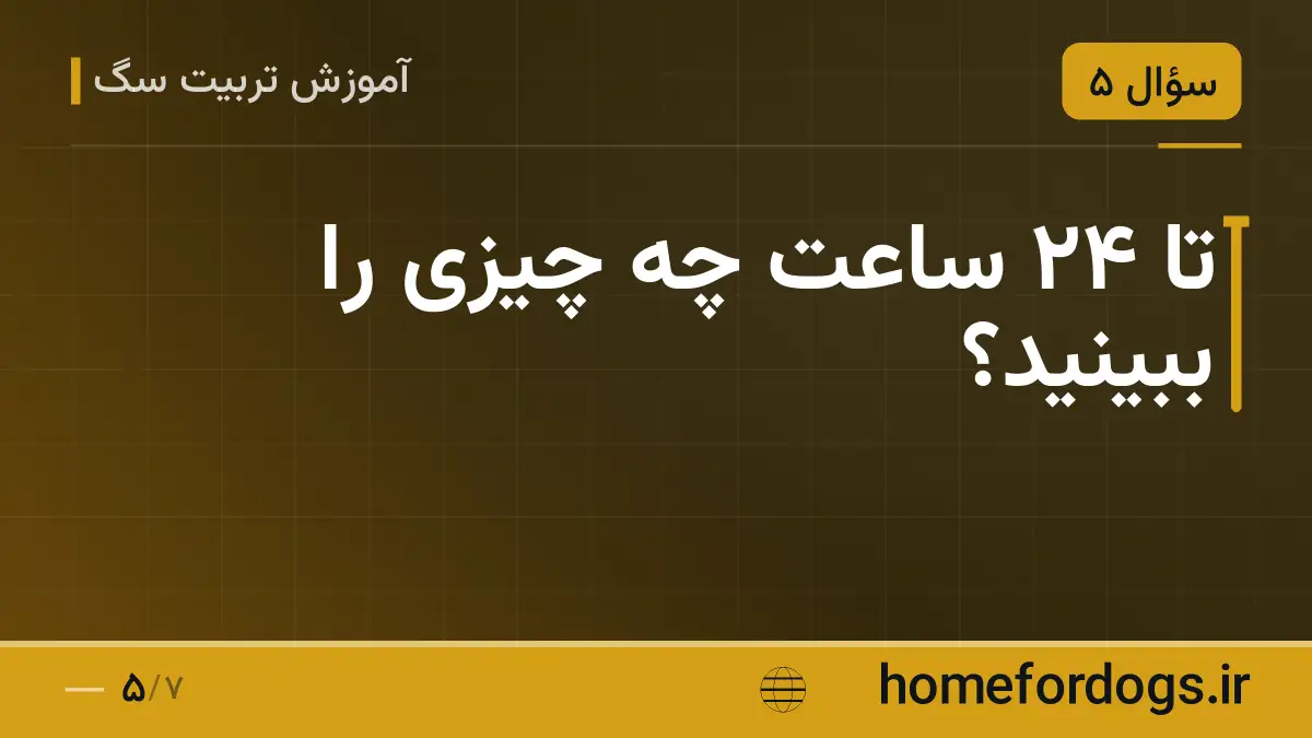 تا ۲۴ ساعت چه چیزی را ببینید؟