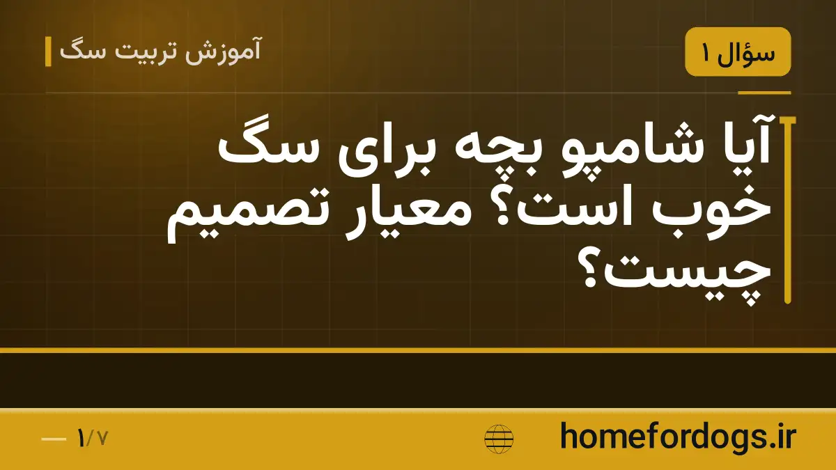 آیا شامپو بچه برای سگ خوب است؟ معیار تصمیم چیست؟