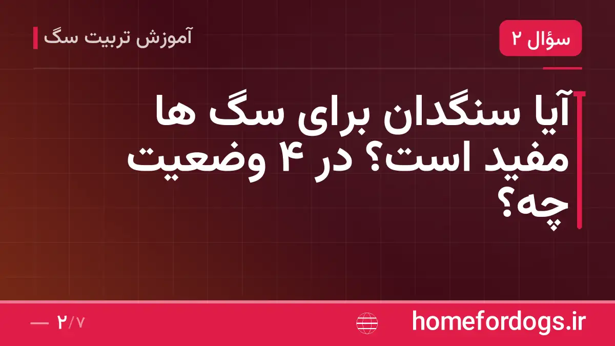 آیا سنگدان برای سگ ها مفید است؟ در ۴ وضعیت چه؟