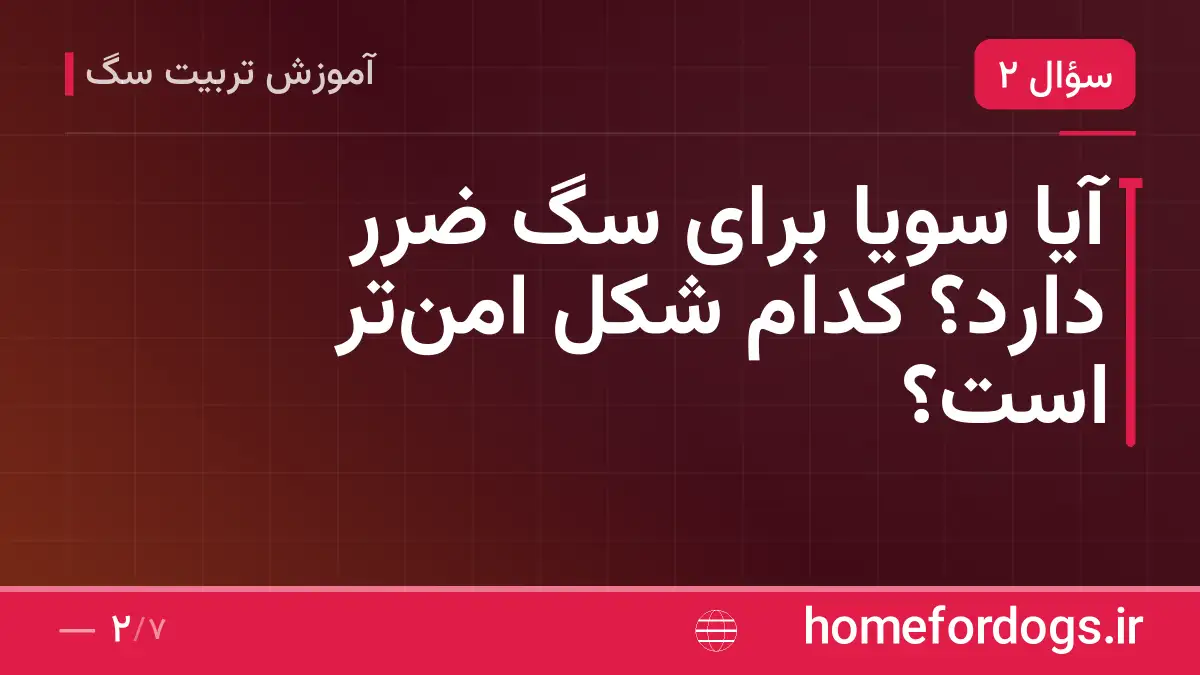 آیا سویا برای سگ ضرر دارد؟ کدام شکل امنتر است؟
