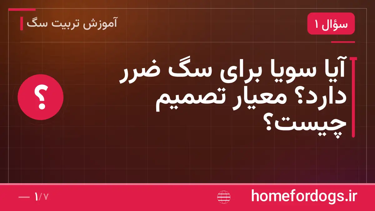 آیا سویا برای سگ ضرر دارد؟ معیار تصمیم چیست؟