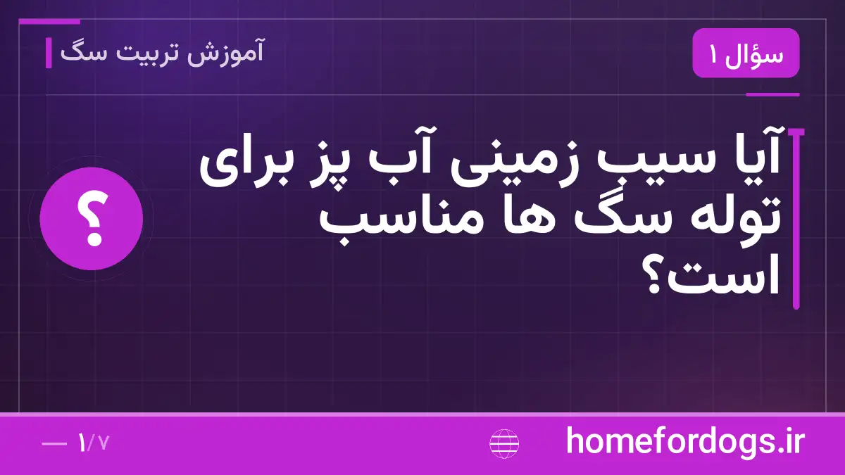 آیا سیب زمینی آب پز برای توله سگ ها مناسب است؟
