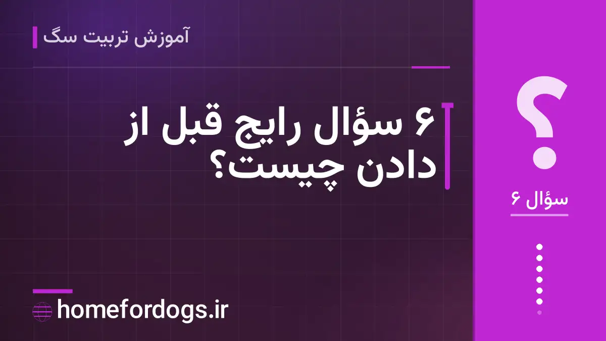 ۶ سؤال رایج قبل از دادن چیست؟