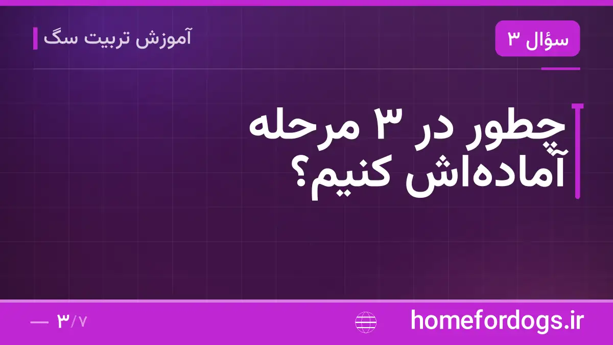چطور در ۳ مرحله آمادهاش کنیم؟