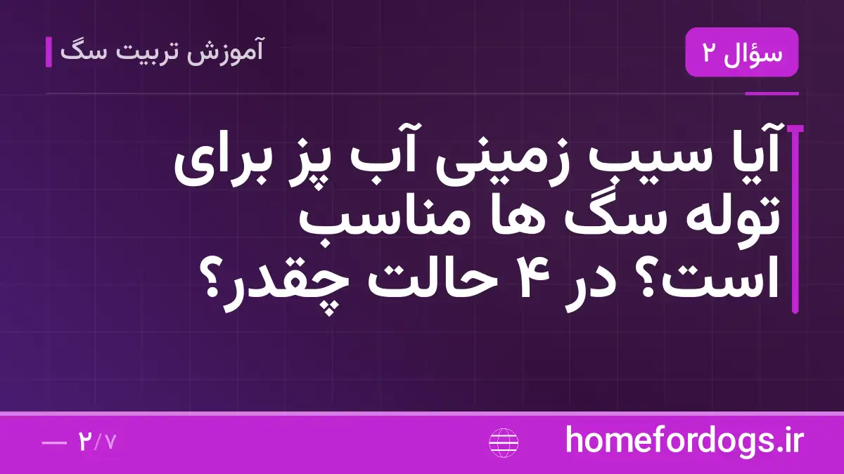 آیا سیب زمینی آب پز برای توله سگ ها مناسب است؟ در ۴ حالت چقدر؟
