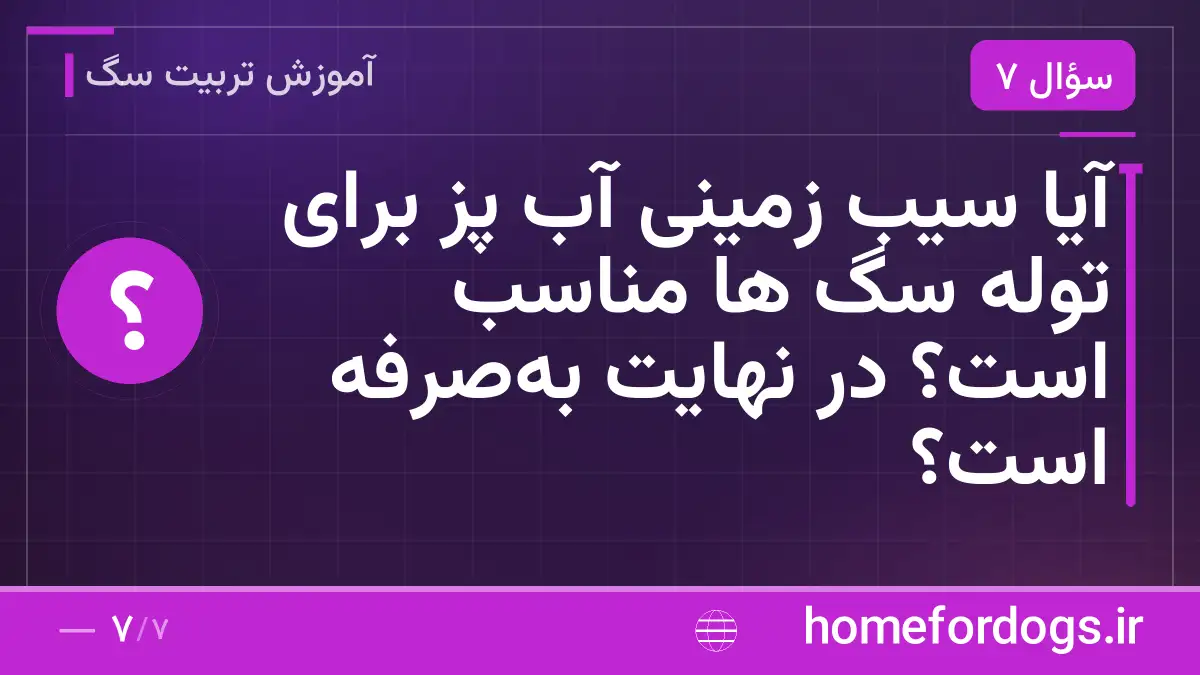 آیا سیب زمینی آب پز برای توله سگ ها مناسب است؟ در نهایت بهصرفه است؟