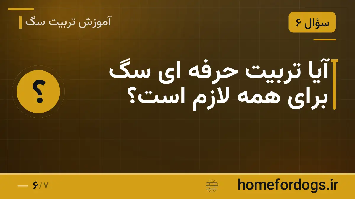 آیا تربیت حرفه ای سگ برای همه لازم است؟