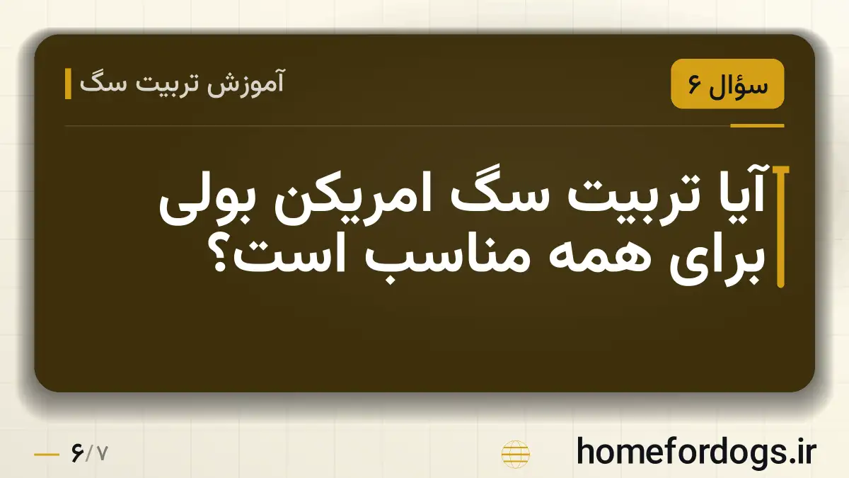 آیا تربیت سگ امریکن بولی برای همه مناسب است؟