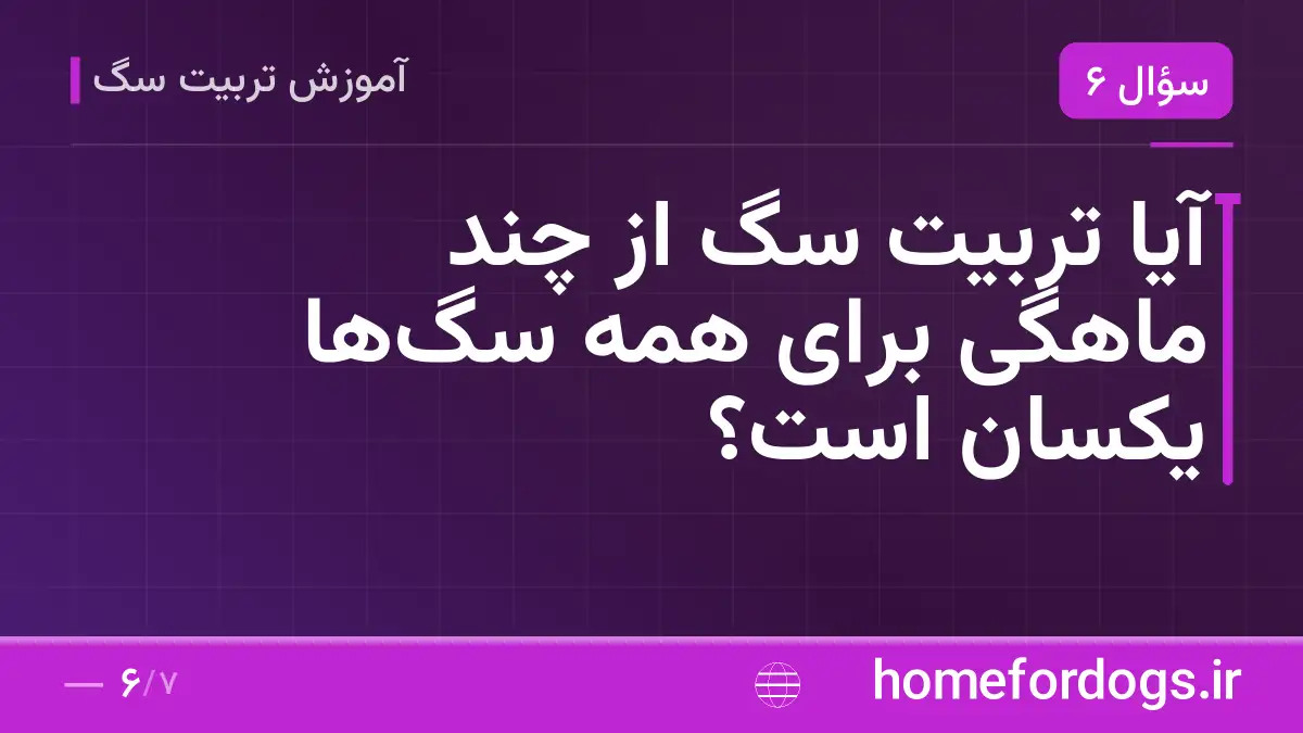 آیا تربیت سگ از چند ماهگی برای همه سگ‌ها یکسان است؟