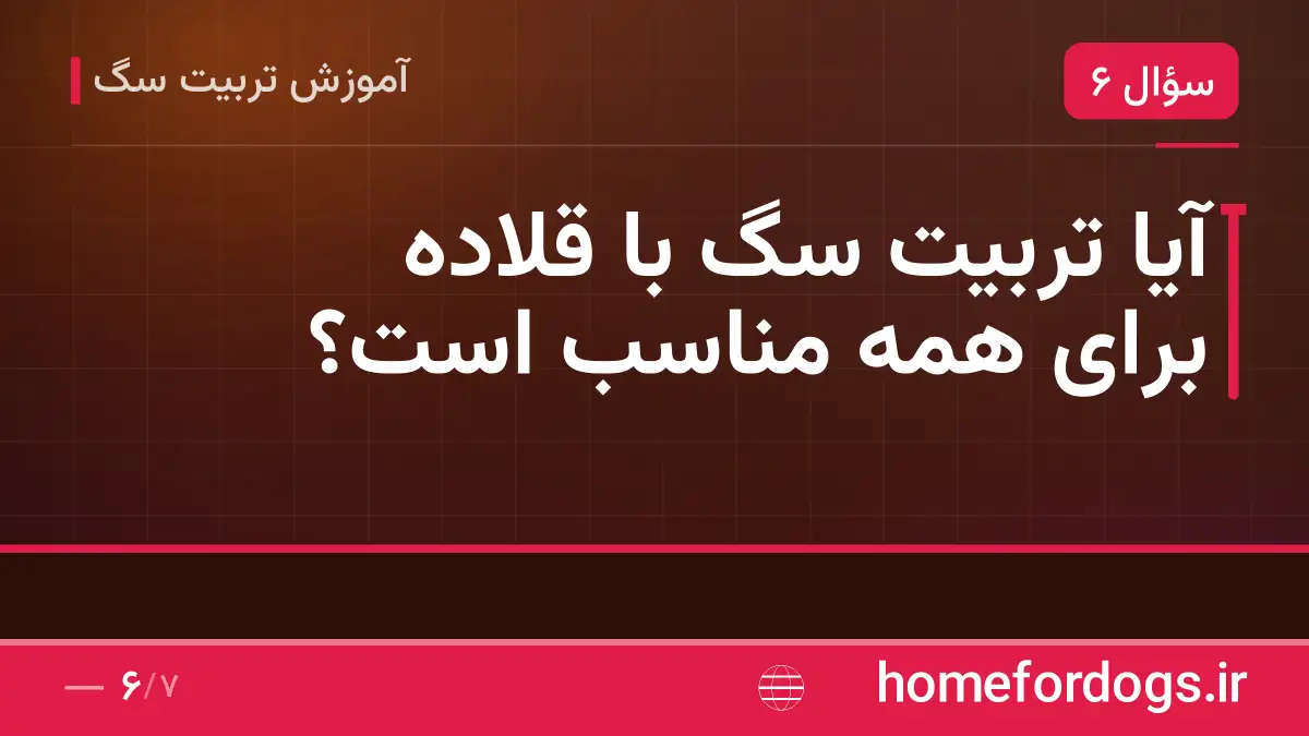 آیا تربیت سگ با قلاده برای همه مناسب است؟