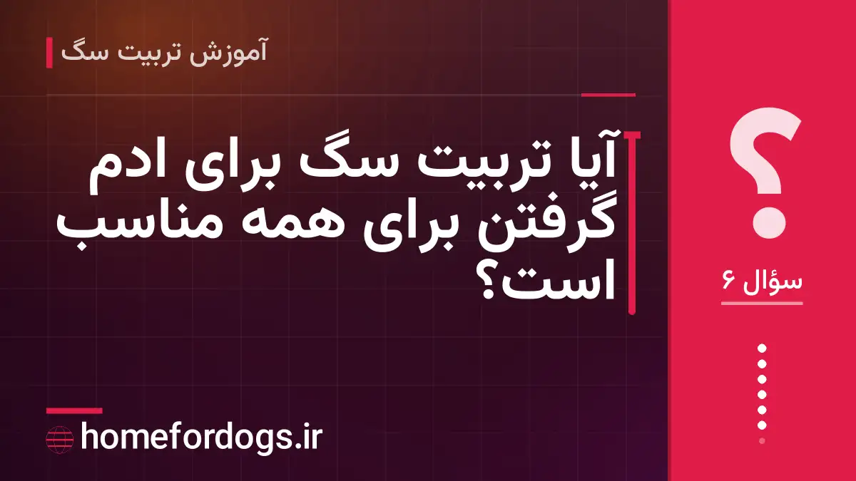 آیا تربیت سگ برای ادم گرفتن برای همه مناسب است؟